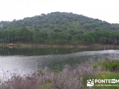 Senderismo Madrid - Pantano de San Juan - Embalse de Picadas; foro trekking